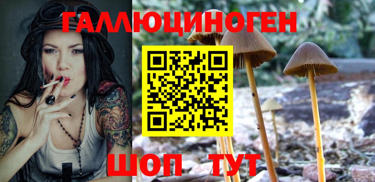 Галлюциногенные грибы Psilocybe  Вход с VPN  дарнет шоп  Гуково 